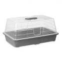 Greenhouse Grey Transparent Plastic 38,4 x 17,5 x 24,7 cm (8 Units)