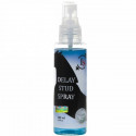 Spray opóźniający wytrysk Delay Stud 100 ml