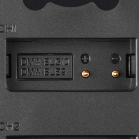 Newell DL-USB-C dual channel charger for DMW-BLG10