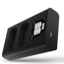Newell DL-USB-C dual channel charger for DMW-BLJ31