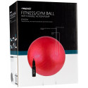 Gym Ball AVENTO 42OD 65cm +pomp Pink