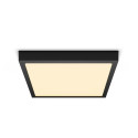 Philips Functional Downlight