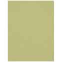 Westcott X Drop Kreukbestendige Achtergrond   Mos Groen (1.5 x 2.1 m)