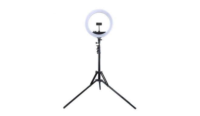LED Ring Lamp 34.5cm with Tripod Stand up to 1.85m, Mirror, Phone Clamp, USB