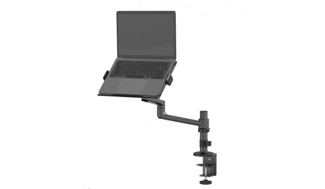 NB ACC DESK STAND 11.6-17.3"/DS20-425BL1 NEOMOUNTS