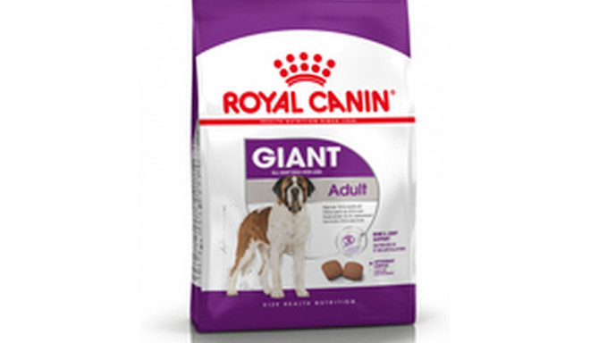 Sööt Royal Canin Giant Adult Täiskasvanu Kana Linnud 15 kg