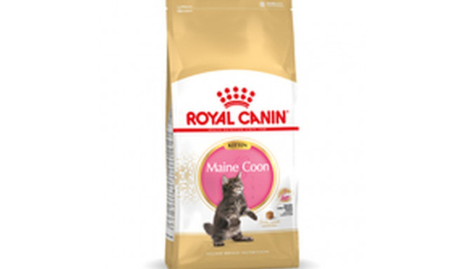 Корм для котов Royal Canin Maine Coon Kitten 10 kg