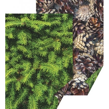 Käsitöökartong 50x70cm 300g, käbid ja kuusk, Heyda