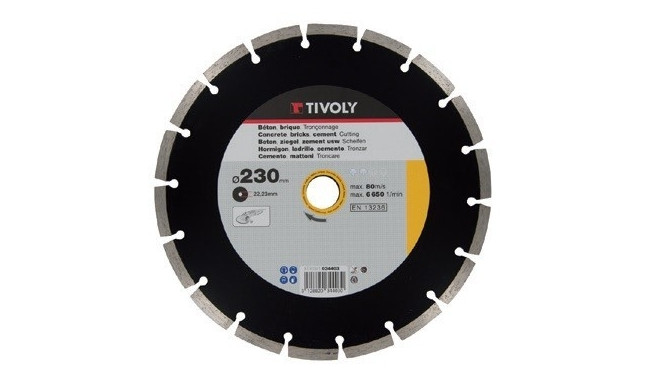 Diamond disc Tivoly segment 125x22,2mm