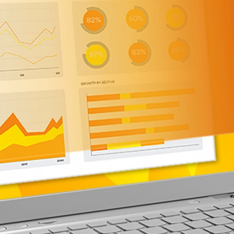 3M privaatsusfilter Apple MacBook Pro 13" GPFMR13R 201x307mm 16:10 Wide, kuldne