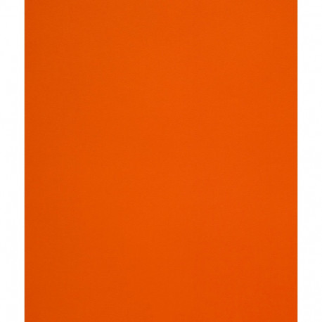 Disainpaber Curious Skin Orange A4 270g 10 lehte pakis