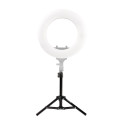 Caruba Lampstatief LS 50 50cm