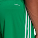 adidas meeste lühikesed püksid Squadra 21 GN5769 (L), roheline