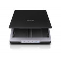 Epson Perfection V19 Flatbed scanner 4800 х 4800 A4 Black