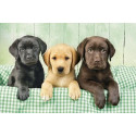 Clementoni Three Labs Jigsaw puzzle 1000 pc(s) Fauna