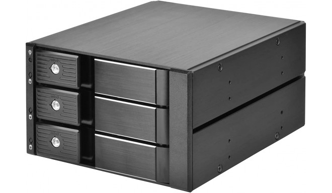 SilverStone SST-FS303-12G, removable frame (black)
