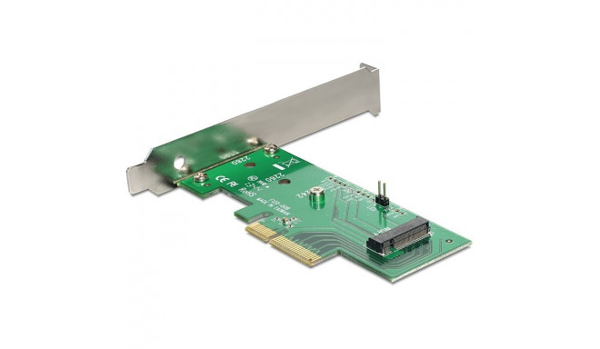 "DeLock NVMe M.2 Key M PCI Express-Karte"