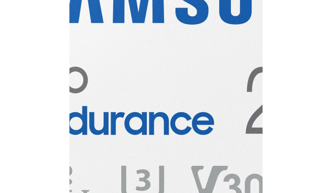 "CARD 256GB Samsung PRO Endurance MicroSDXC UHS-I U3 inkl. Adapter"