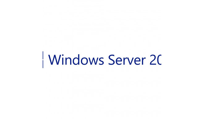"OEM Windows Server 2022 CAL 10 User"