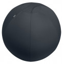 Istumispall/Tasakaalupall Leitz Ergo Active Sit Ball Anti-roll-away, Dark Grey/tumehall, 55cm, kuni 