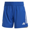 Adidas Tiro 23 Competition W shorts HT6597 (L (173cm))