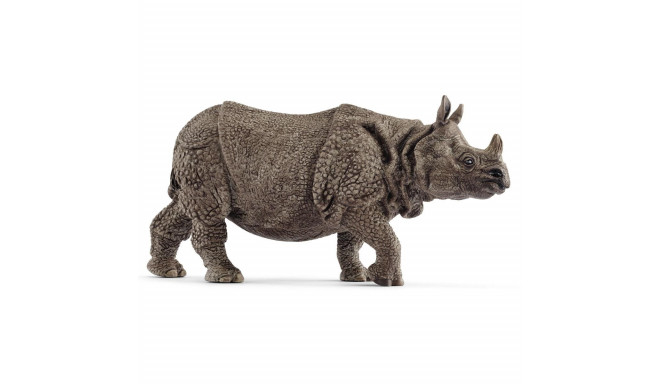 Indian Rhinoceros