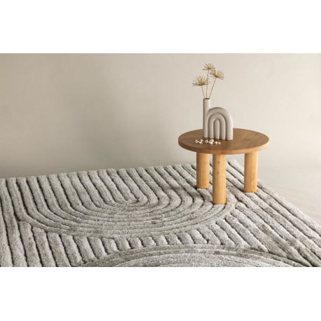 Vaip Niklas 290×200 cm, hall