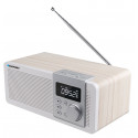 Portable radio with bluetooth Blaupunkt PP14BT