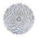 Lauamatt DANDELION, hõbe