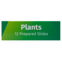 Levenhuk LabZZ P12 Plants Prepared Slides Set