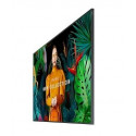Monitor profesjonalny QH75C 75 cali Matowy 24h/7 700(cd/m2) 3840 x 2160 (UHD) S10 Player (Tizen 7) W