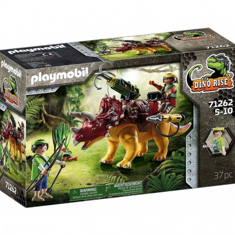 71262 Triceratops