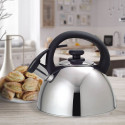 Feel-Maestro MR1302 kettle 2.5 L Stainless steel