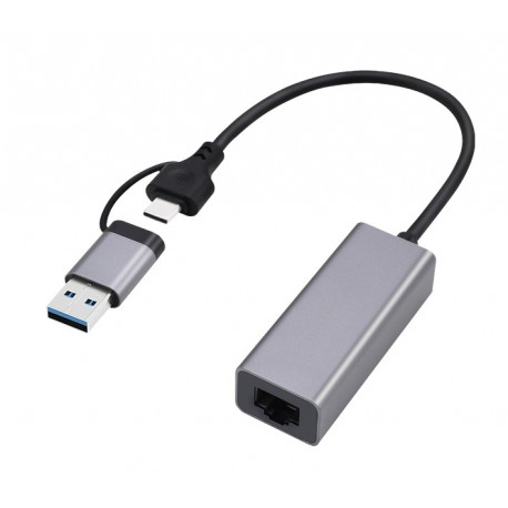 Gembird A-USB3AC-LAN-01 USB 3.1 + type-C gigabit võrgukaart, kosmosehall
