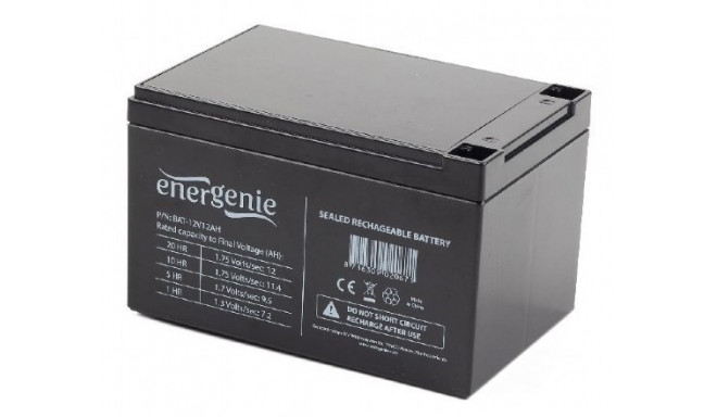 Gembird BAT-12V12AH UPS aku suletud pliiaku (VRLA) 12 V 12 Ah