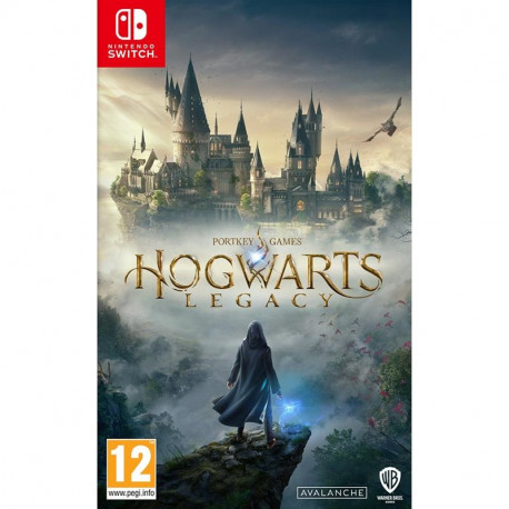 SW Hogwarts Legacy