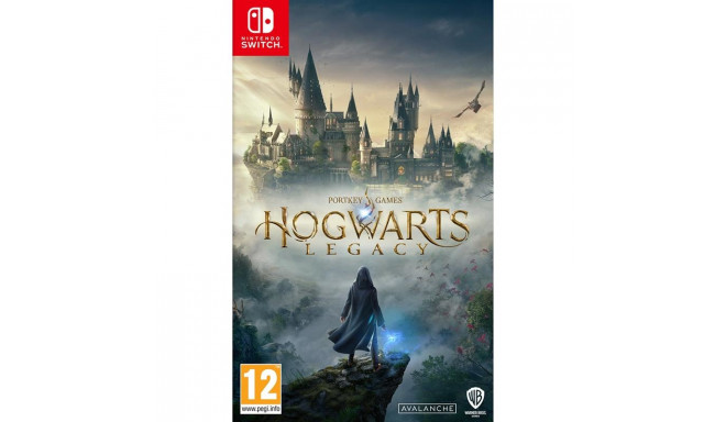 SW Hogwarts Legacy