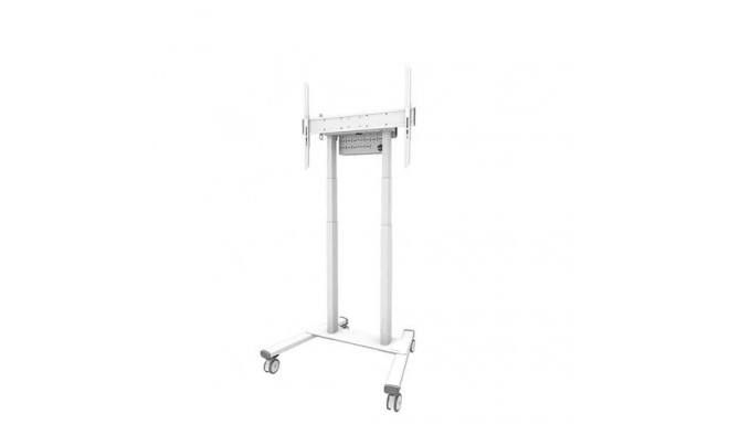 Floor stand FL55-875WH1 55-100cali 110kg 100x100-800x600 h:111-176cm PILOT