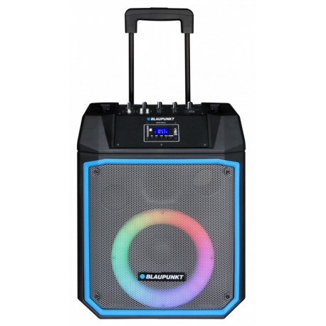 Based on the input provided, here is a detailed breakdown and description of the Blaupunkt M