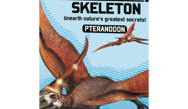 4M Komplekt Kaeva välja Pteranodon