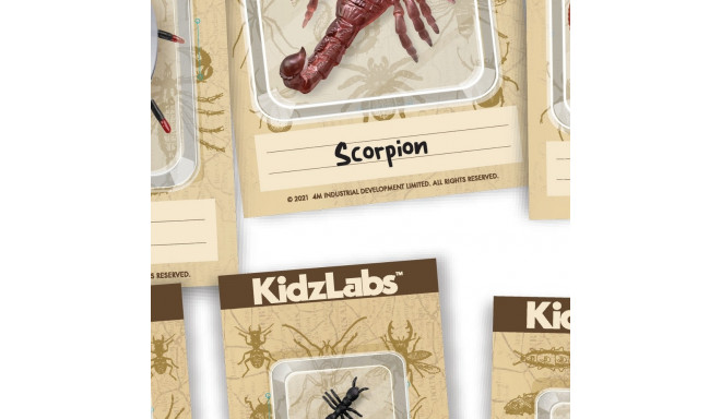 4M Komplekt Creepy Crawly Digging