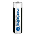 everActive patarei Pro Alkaline LR6 AA 10tk