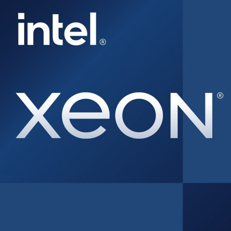 "Intel S1200 XEON E-2386G TRAY 6x3,5 95W"