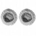Mamibot W110-T Grey Pads