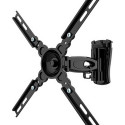 TV Mount TM Electron 15 kg 10"-24"