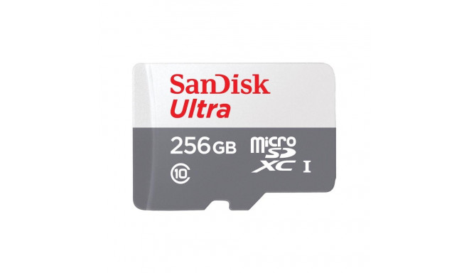 MEMORY MICRO SDXC 256GB UHS-I/SDSQUNR-256G-GN3MN SANDISK