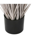 Декоративное растение Home ESPRIT PVC полиэтилен 35 x 35 x 120 cm (2 штук)