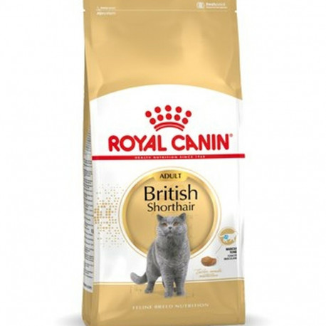 Kassitoit Royal Canin British Shorthair Adult Täiskasvanu 4 Kg