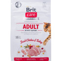 Kassitoit Brit Care Grain Free Activity Support Adult Täiskasvanu Kana Türgi 400 g