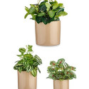 Pottide komplekt 3 Tükid, osad Ø 14 cm Ø 22 cm Ø 17 cm Silinder Beež